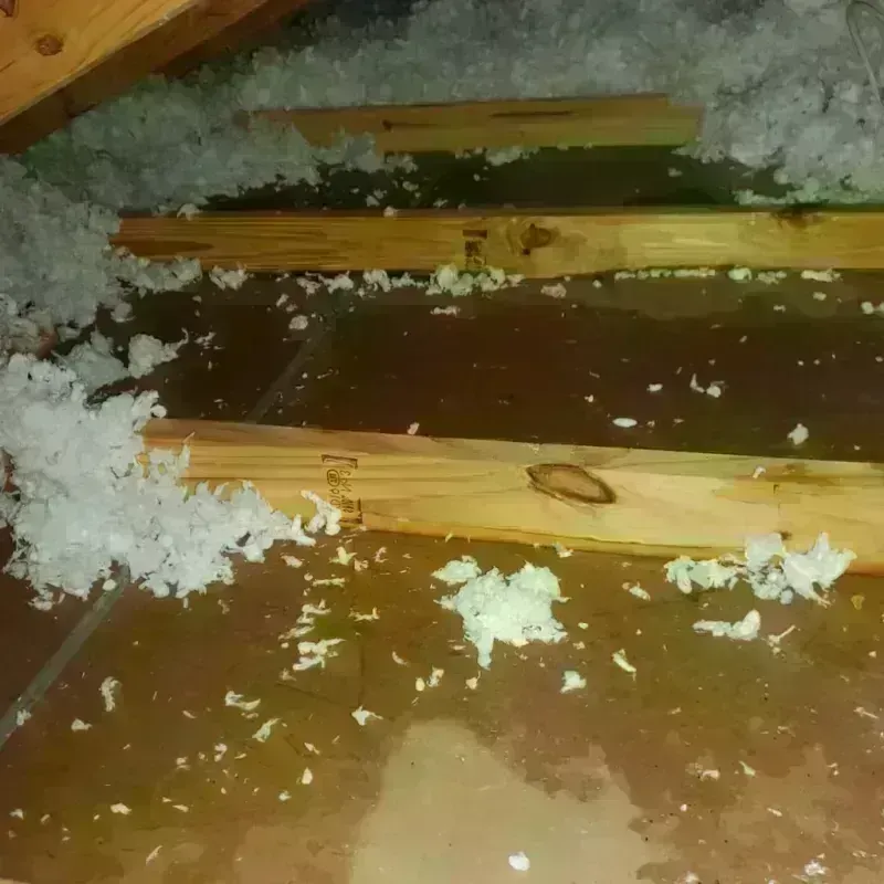 Attic Water Damage in Seadrift, TX