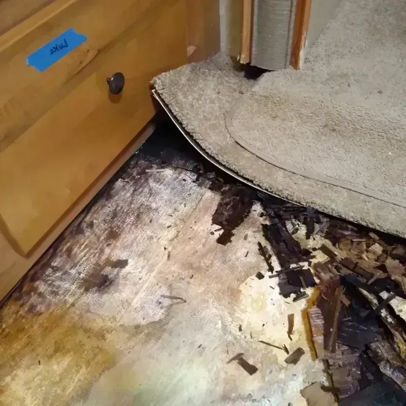 Wood Floor Water Damage in Seadrift, TX